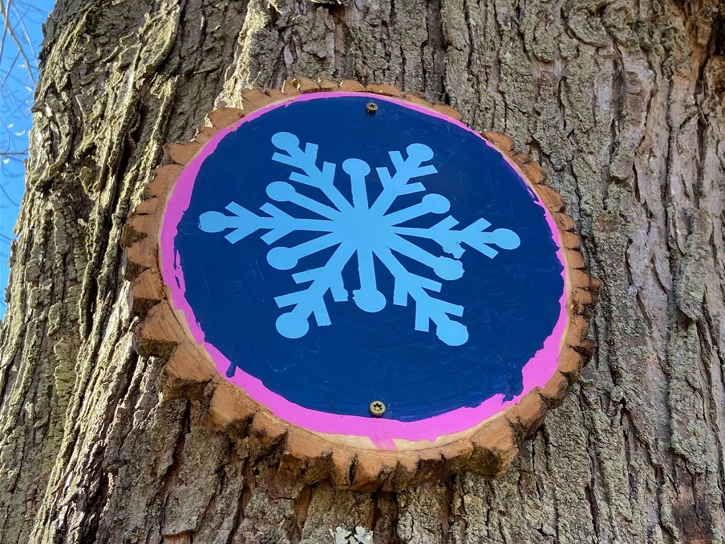 Get your Culture here: Three outdoor experiences to have in January 2022