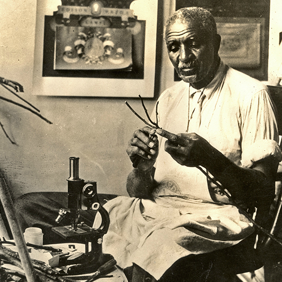 Native Illinois Tree Species