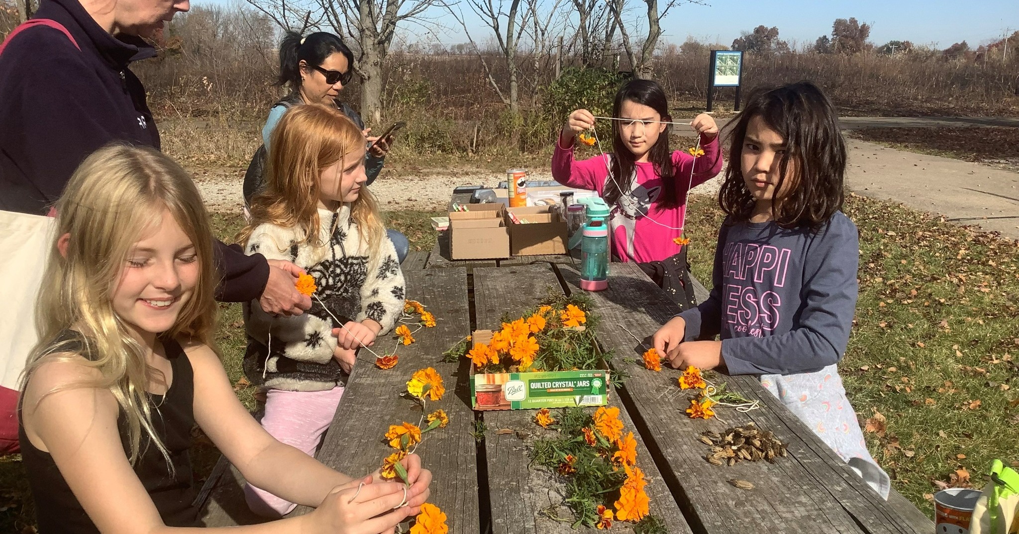 Seed Scatter Program