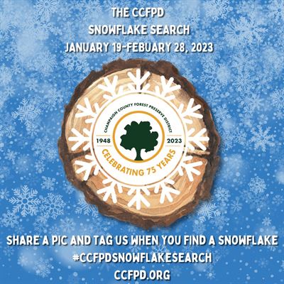 image CCFPD Snowflake Search