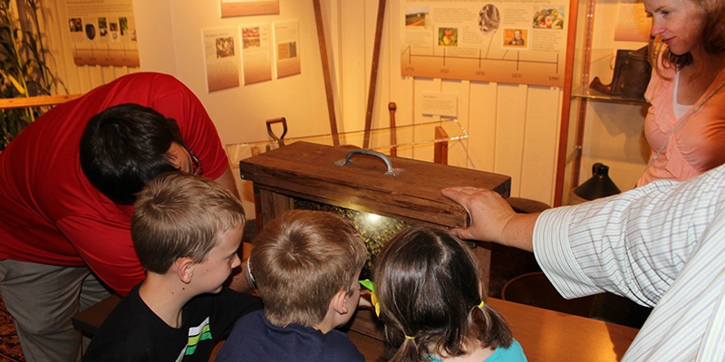 Kids Can Learn to Go Green at Museum Monday