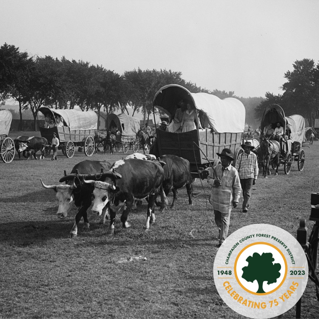 Rayburn-Purnell Woods