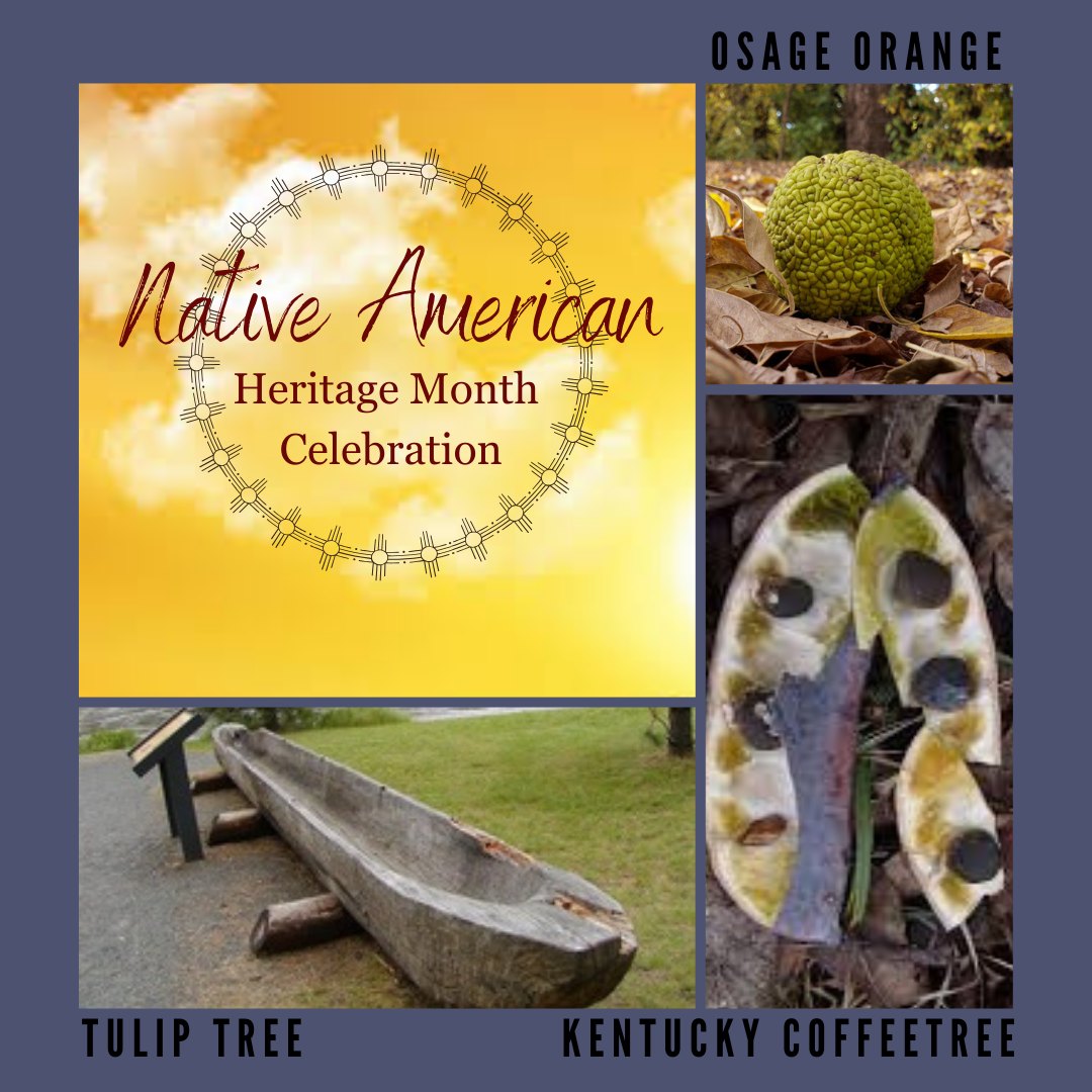 Native American Heritage Month