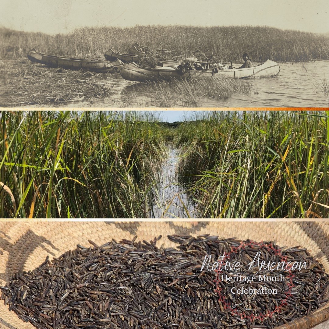 Native American Heritage Month