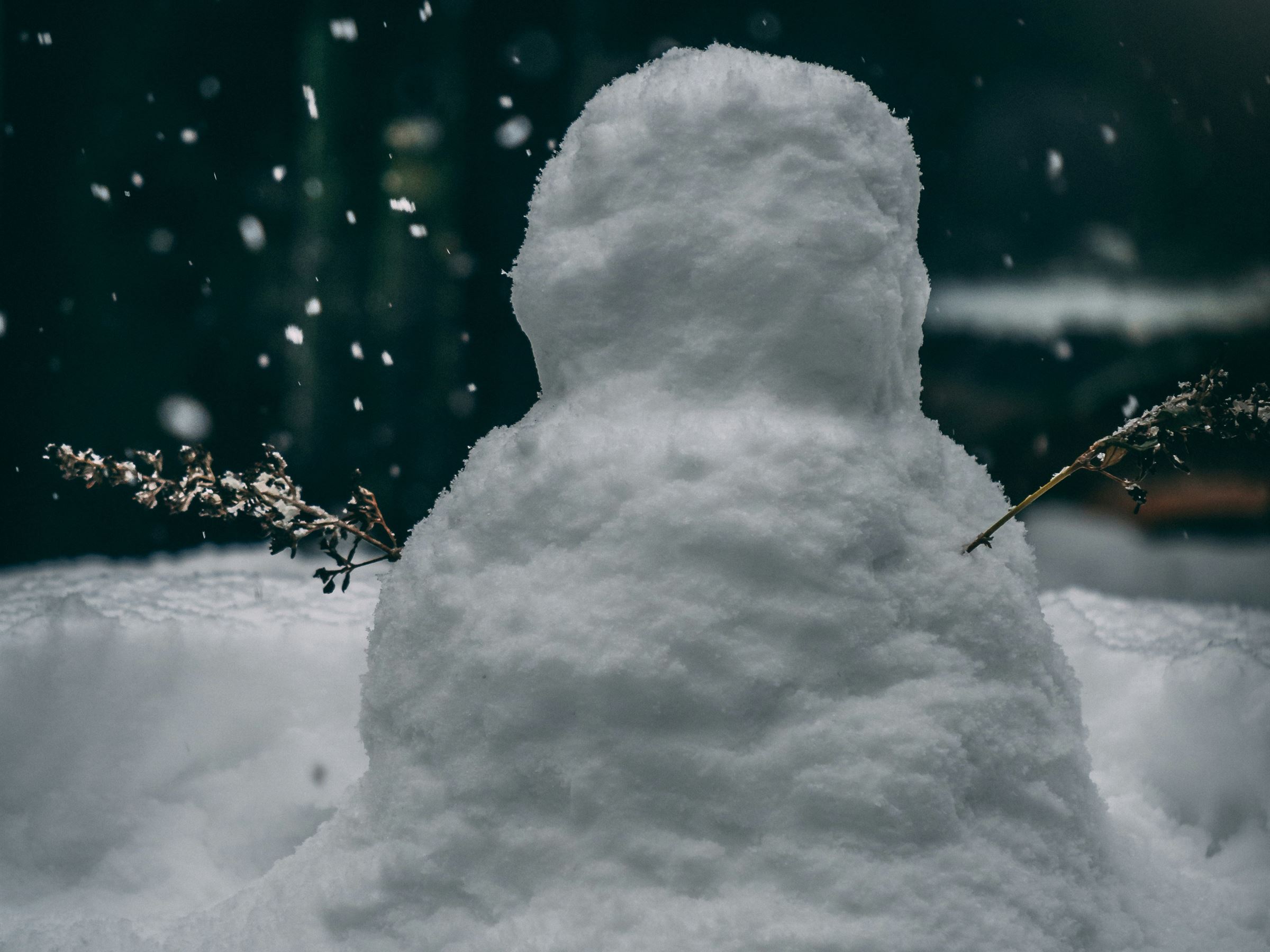 Historical Winter Pastimes