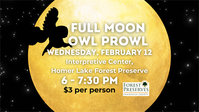 image Full Moon Owl Prowl