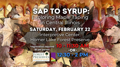 image Sap to Syrup: Exploring Maple Tapping in Central Illinois (PM Session)