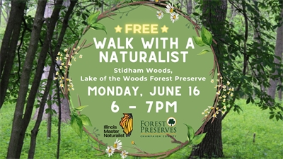 image WALK WITH A NATURALIST