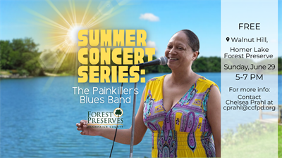 image SUMMER CONCERT SERIES: PAINKILLERS BLUES BAND