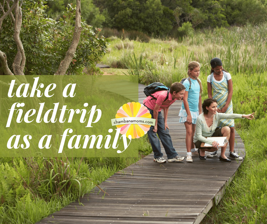 Take a Field Trip as a Family