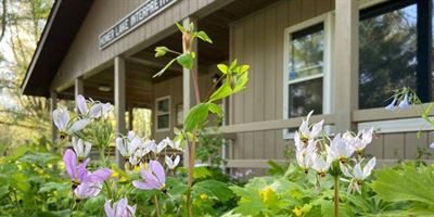 image Champaign County Forest Preserve District is Opening Facilities on a Limited Basis