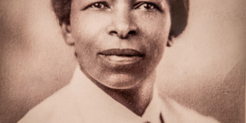 A Brief History on the Amazing Work of Frances Nelson