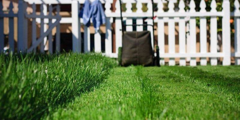 Museum of the Grand Prairie’s Garden Speaker Series begins January 26th