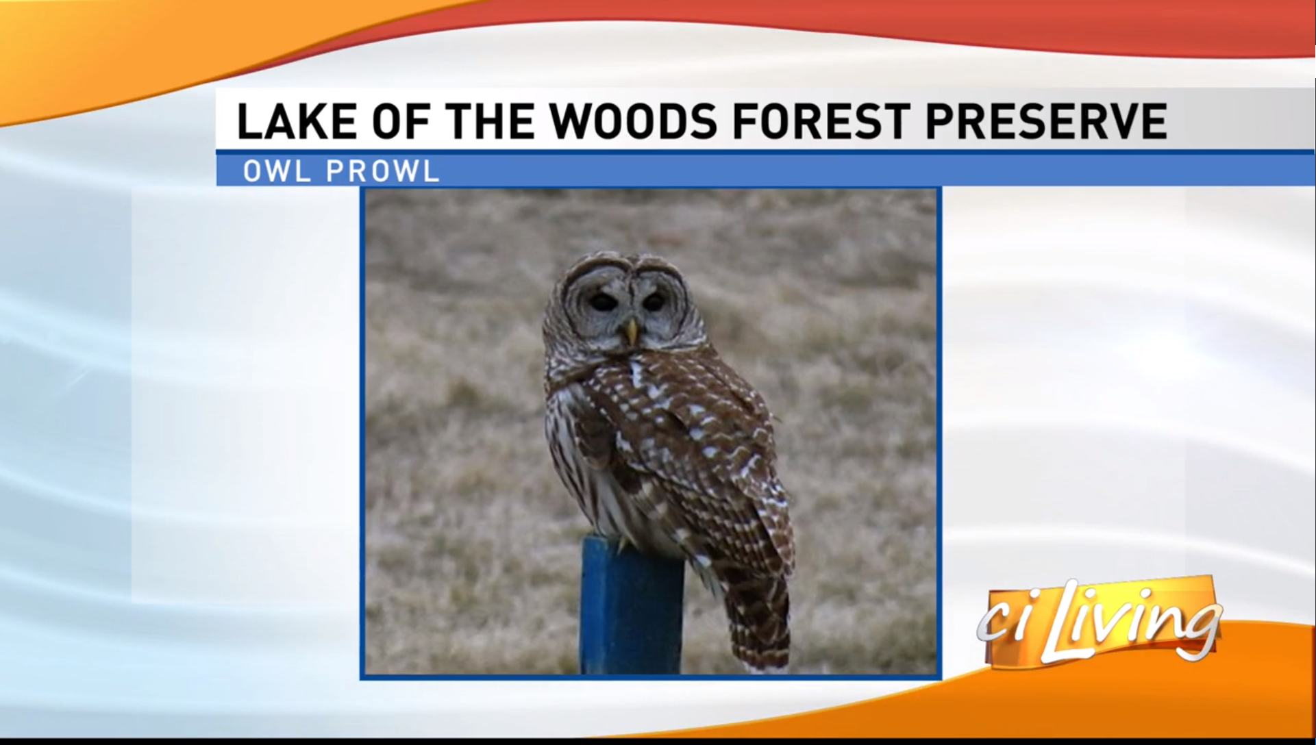 Owls, birds, backyards, gardens, and maple sugar fun with Champaign County Forest Preserve