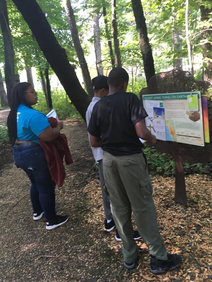 Students exploring this outdoor exhibit